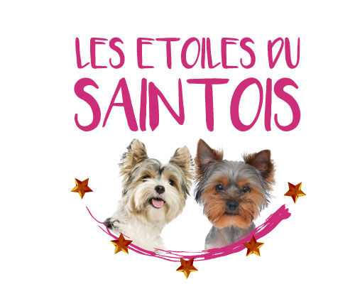 LES ÉTOILES DU SAINTOIS élevage de chiens, de chats