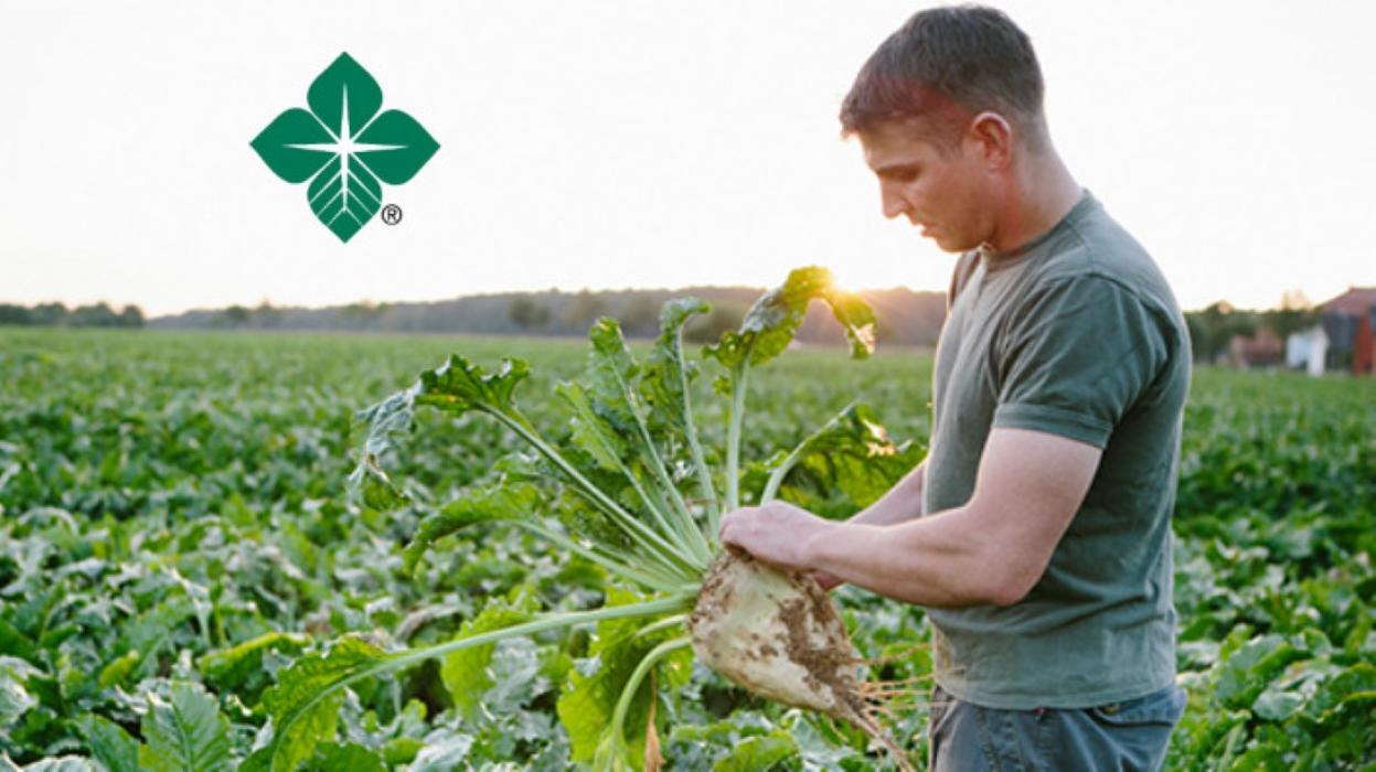 AgCountry Farm Credit Services - Jamestown, ND