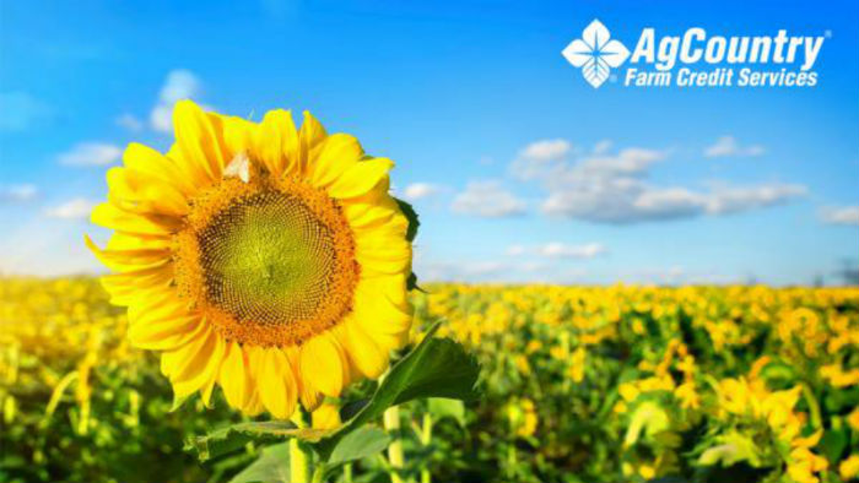 AgCountry Farm Credit Services - Jamestown, ND