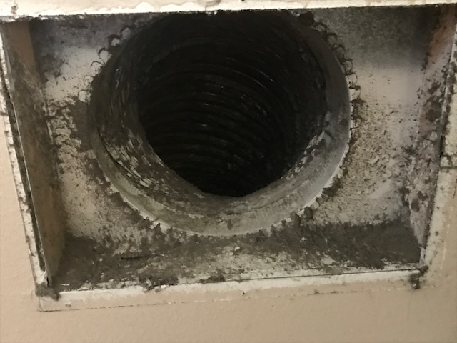 Steamatic of North Indianapolis Image