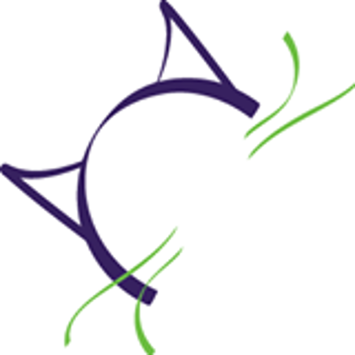 Casual Cat Picture Framing & Unique Gifts Image