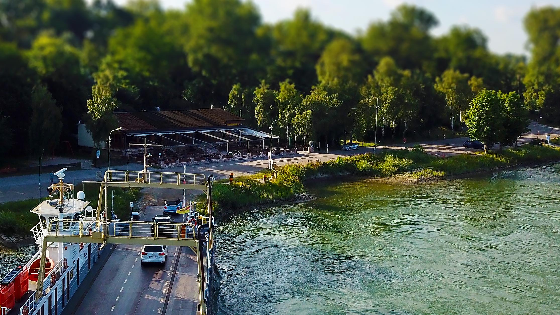 Rheinblick Leopoldshafen, Fahrstraße zum Rhein in Eggenstein-Leopoldshafen