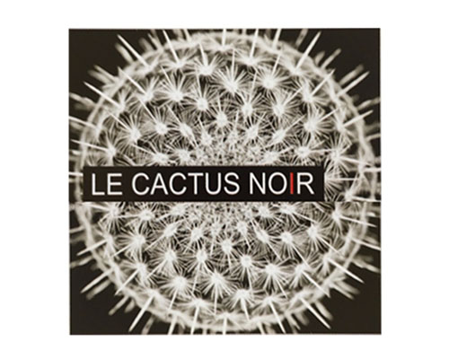 LE CACTUS NOIR fleuriste