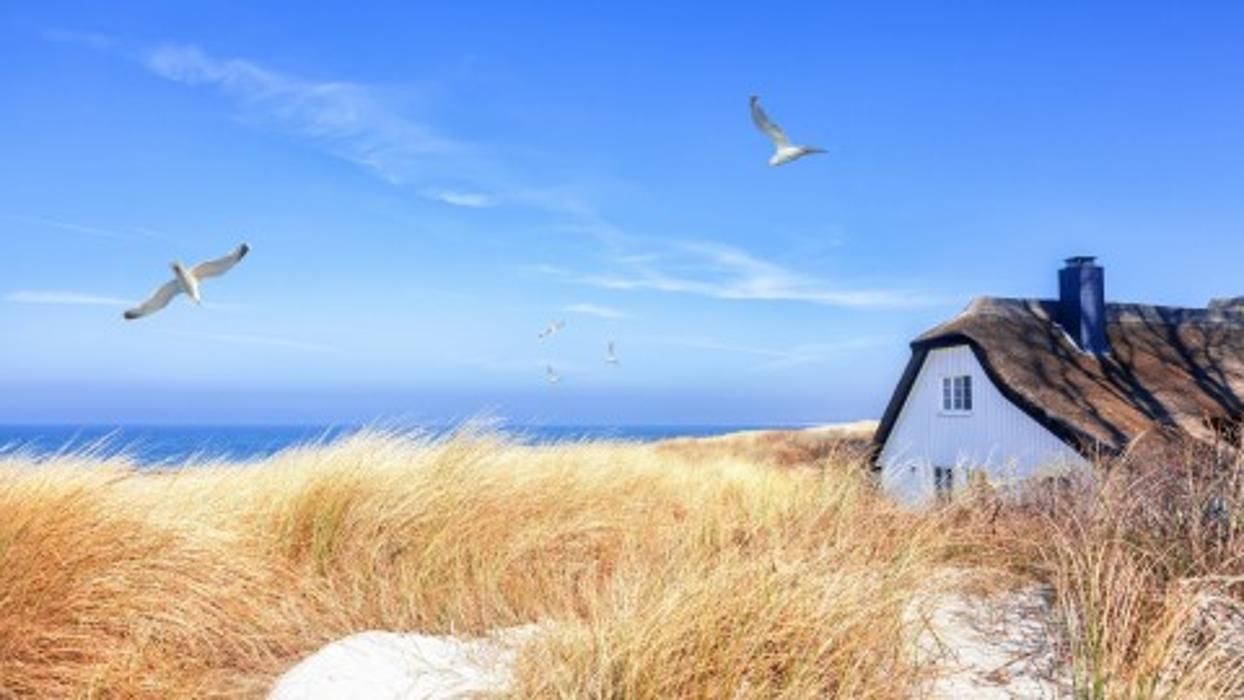 Favorent, Hermannstraße in Rostock