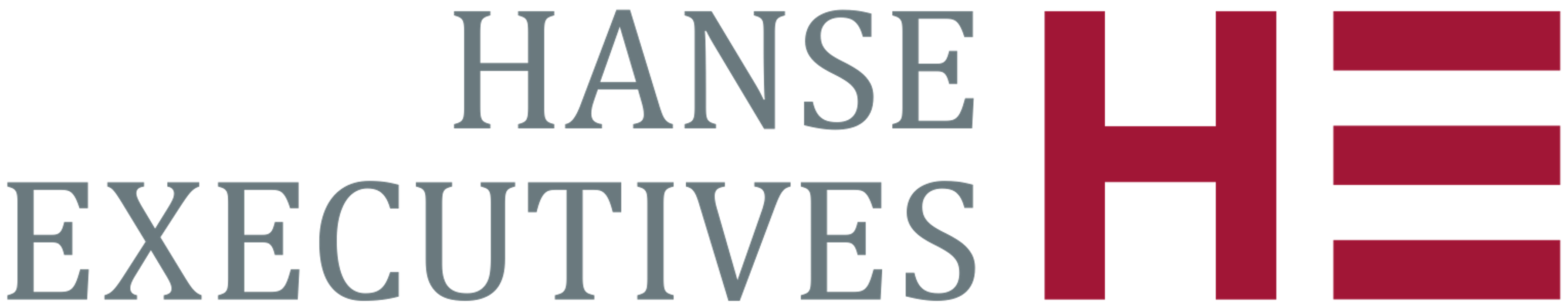 Hanse Executives GmbH in Elmshorn