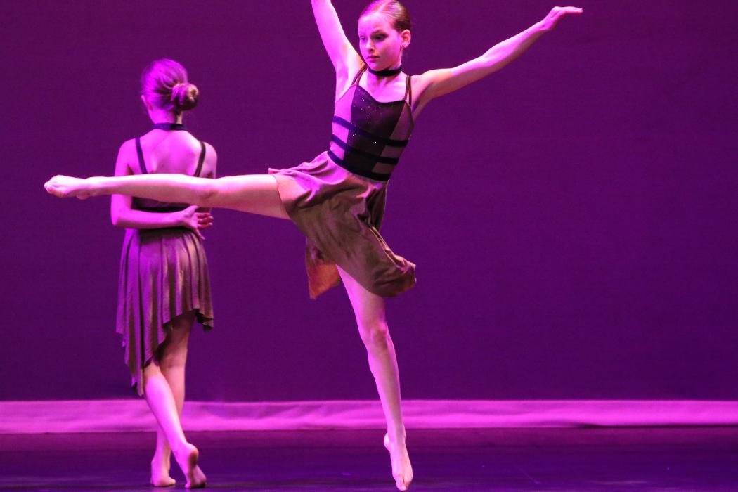 Rootz - Dance, Theater, Enrichment, Fitness, Camps and More! - Deerfield, IL