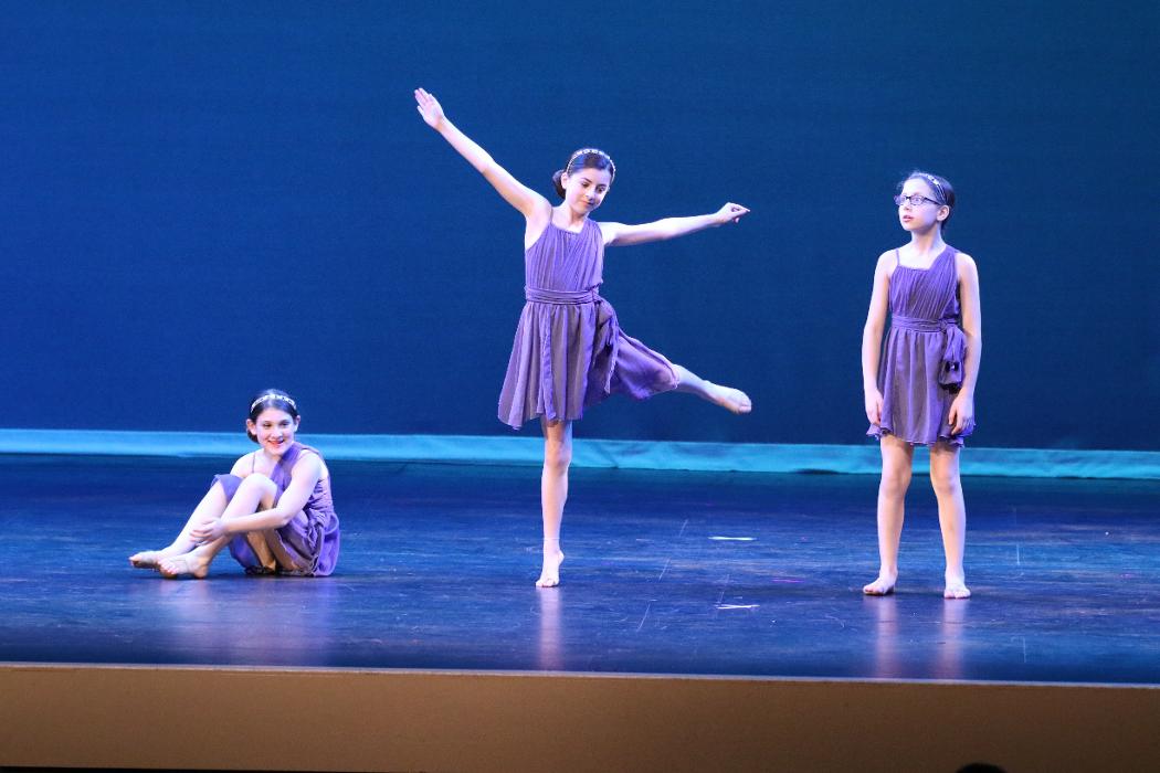 Rootz - Dance, Theater, Enrichment, Fitness, Camps and More! - Deerfield, IL