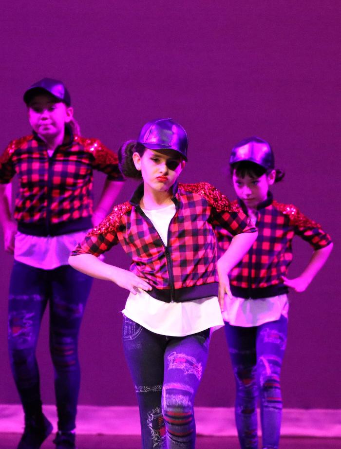 Rootz - Dance, Theater, Enrichment, Fitness, Camps and More! - Deerfield, IL