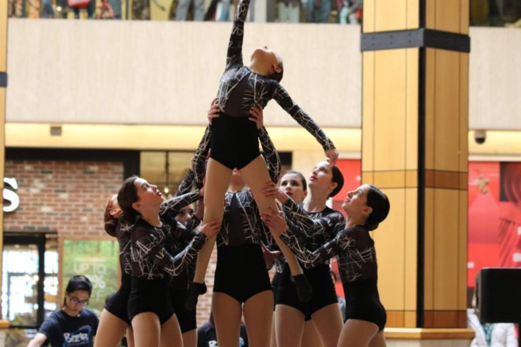 Rootz - Dance, Theater, Enrichment, Fitness, Camps and More! - Deerfield, IL