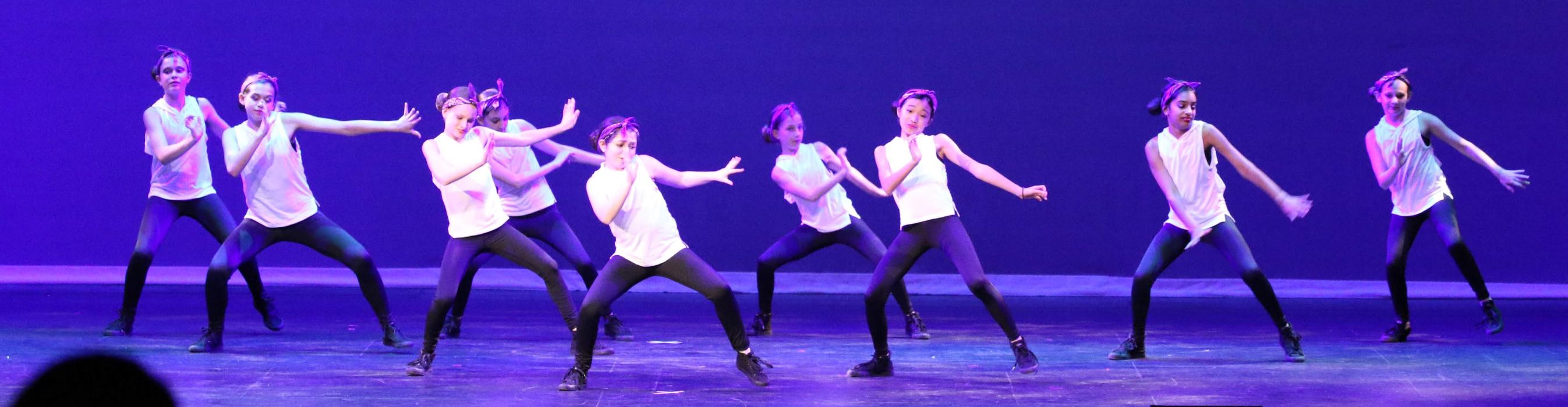 Rootz - Dance, Theater, Enrichment, Fitness, Camps and More! - Deerfield, IL