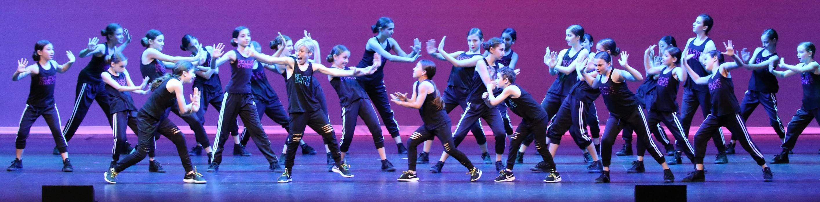 Rootz - Dance, Theater, Enrichment, Fitness, Camps and More! - Deerfield, IL