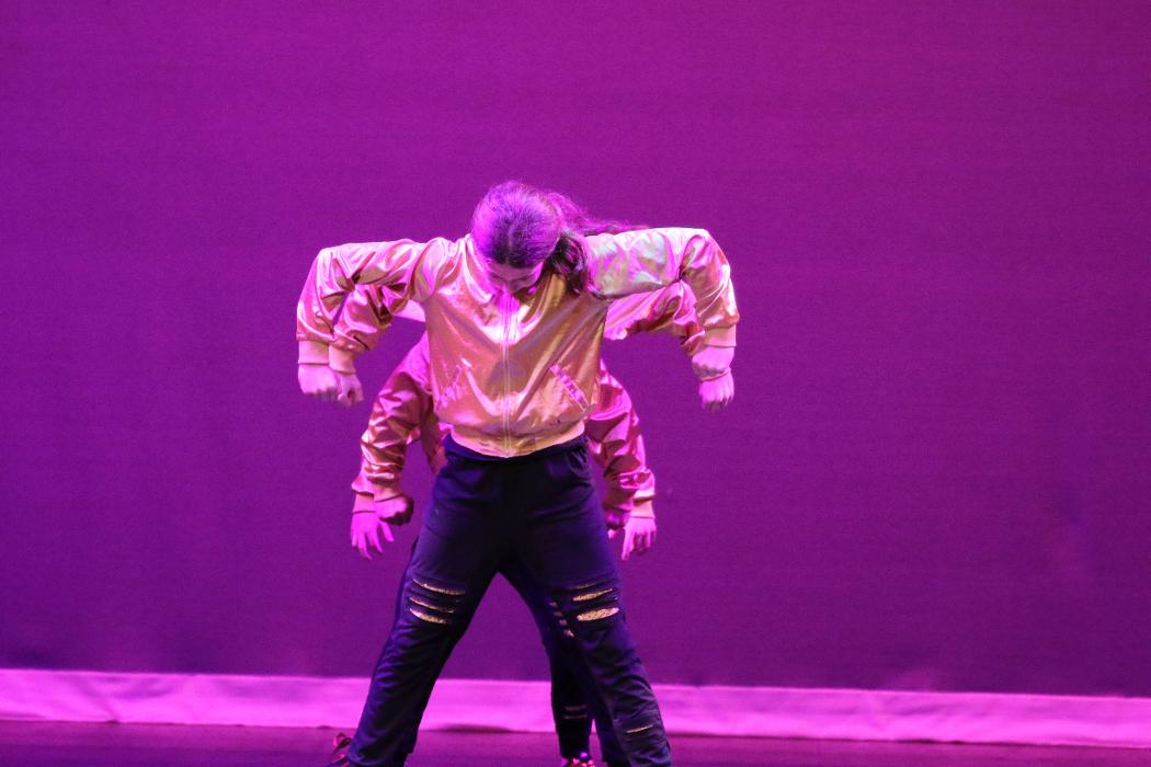 Rootz - Dance, Theater, Enrichment, Fitness, Camps and More! - Deerfield, IL