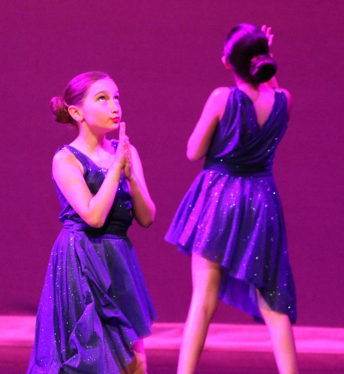 Rootz - Dance, Theater, Enrichment, Fitness, Camps and More! - Deerfield, IL