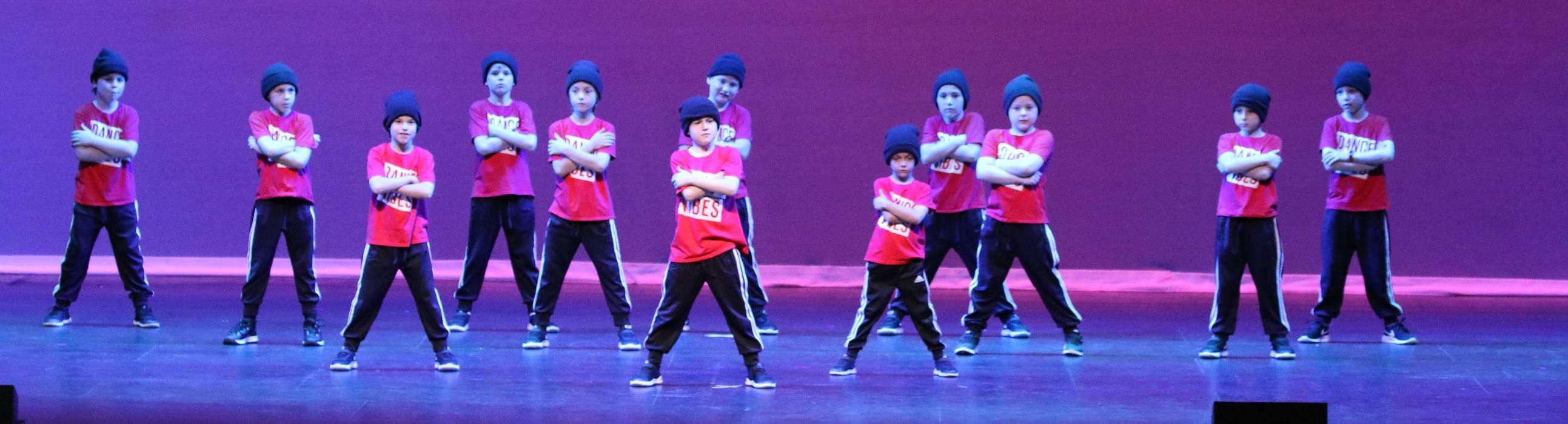 Rootz - Dance, Theater, Enrichment, Fitness, Camps and More! - Deerfield, IL