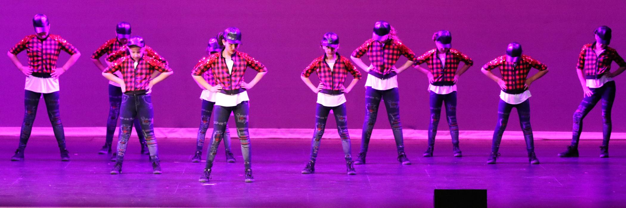 Rootz - Dance, Theater, Enrichment, Fitness, Camps and More! - Deerfield, IL