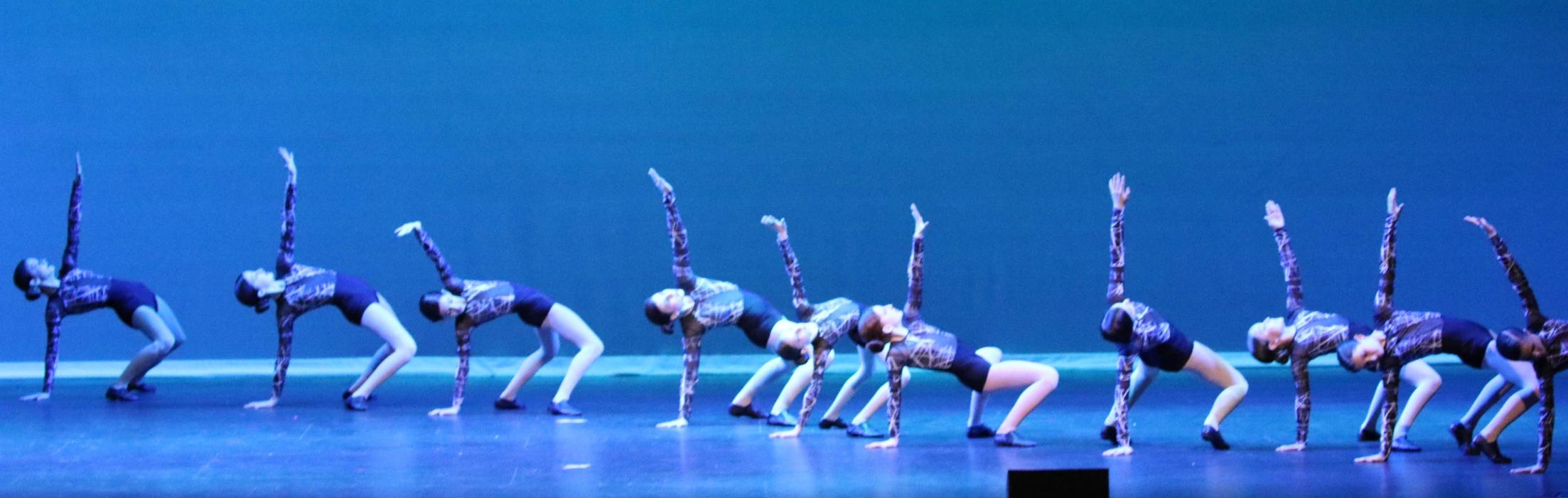 Rootz - Dance, Theater, Enrichment, Fitness, Camps and More! - Deerfield, IL