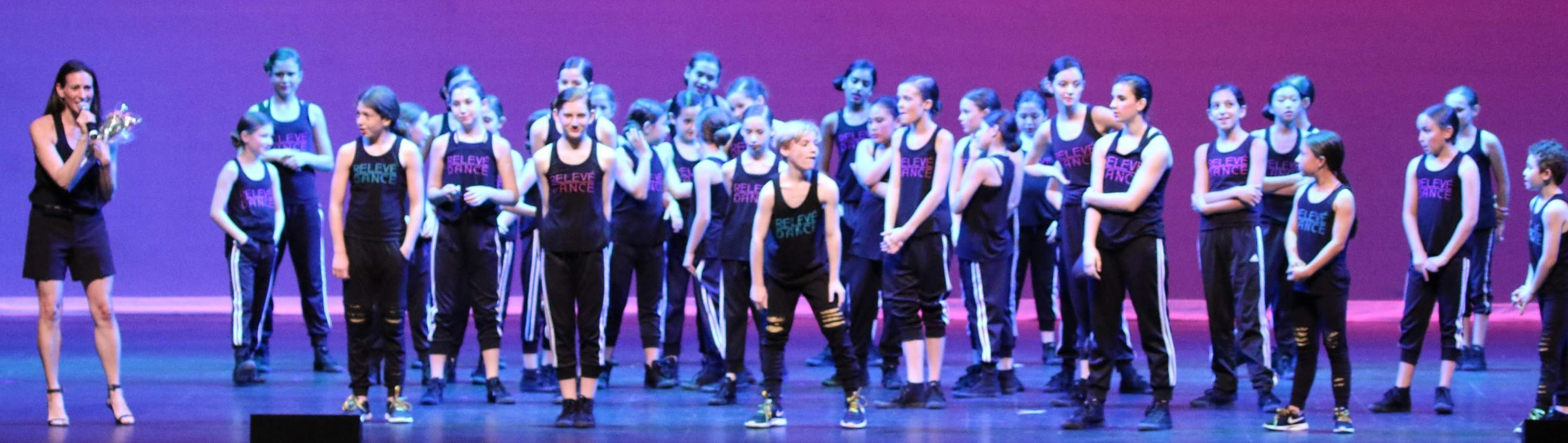 Rootz - Dance, Theater, Enrichment, Fitness, Camps and More! - Deerfield, IL