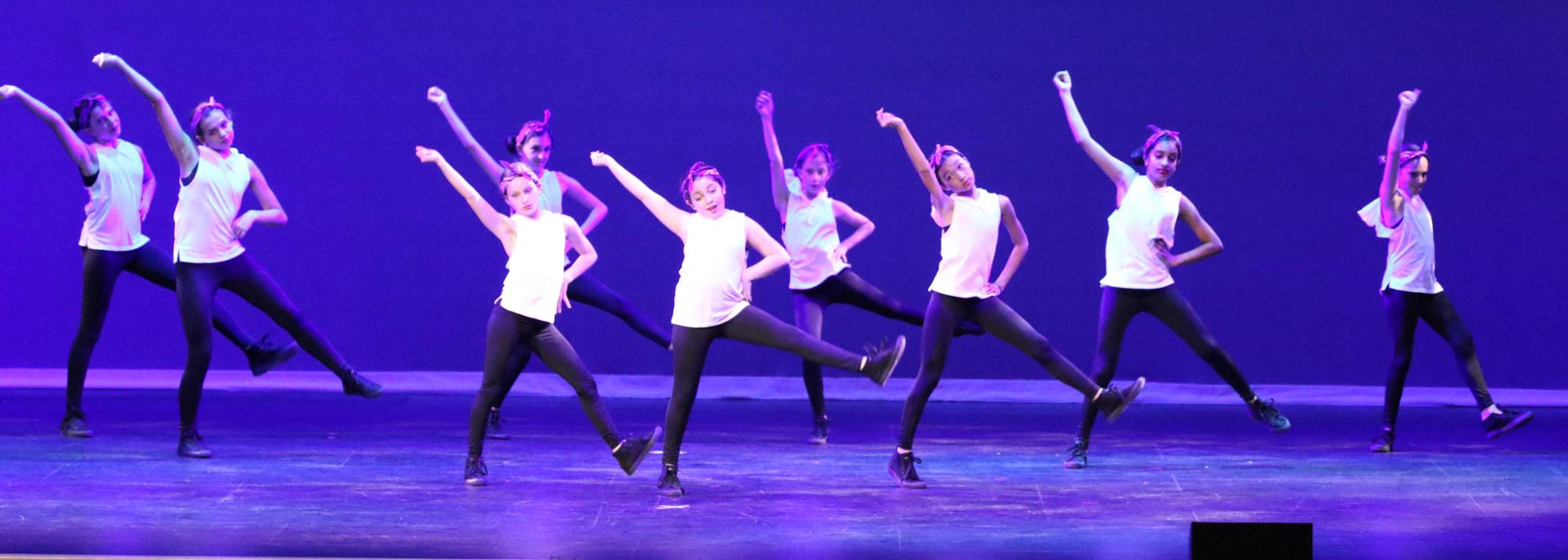 Rootz - Dance, Theater, Enrichment, Fitness, Camps and More! - Deerfield, IL