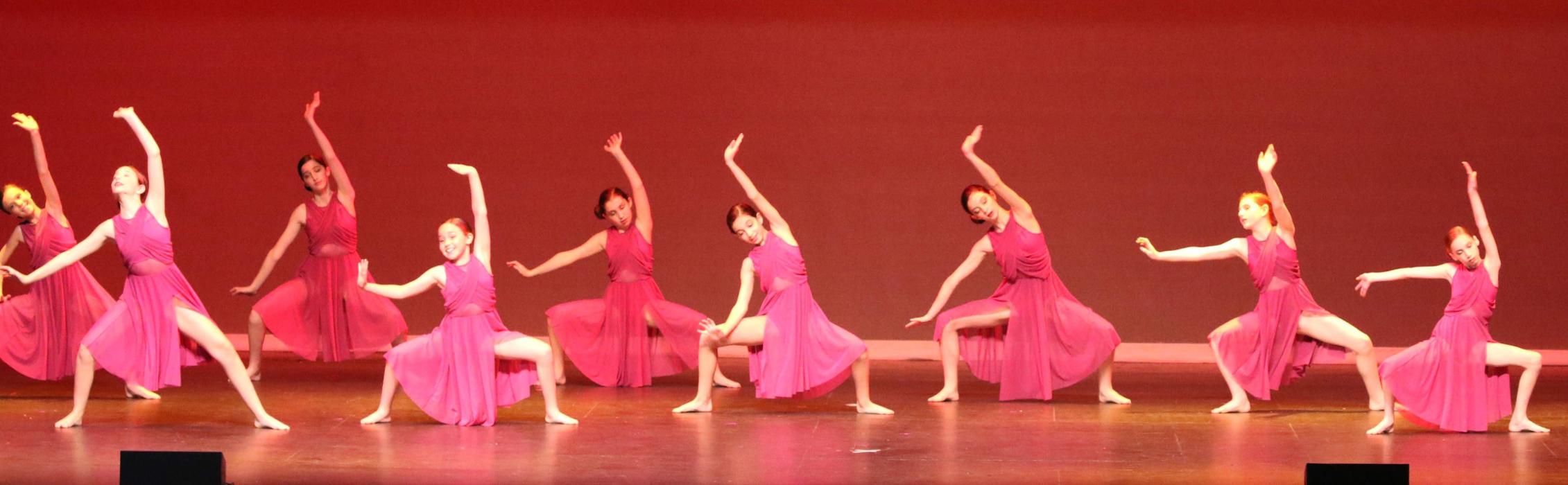 Rootz - Dance, Theater, Enrichment, Fitness, Camps and More! - Deerfield, IL