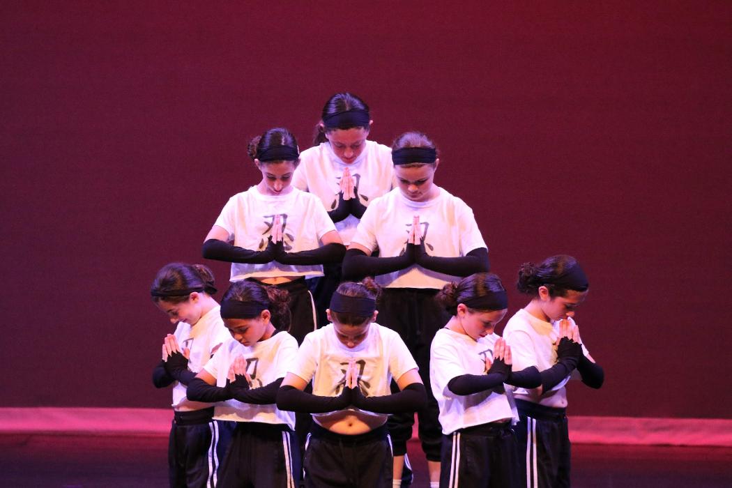 Rootz - Dance, Theater, Enrichment, Fitness, Camps and More! - Deerfield, IL