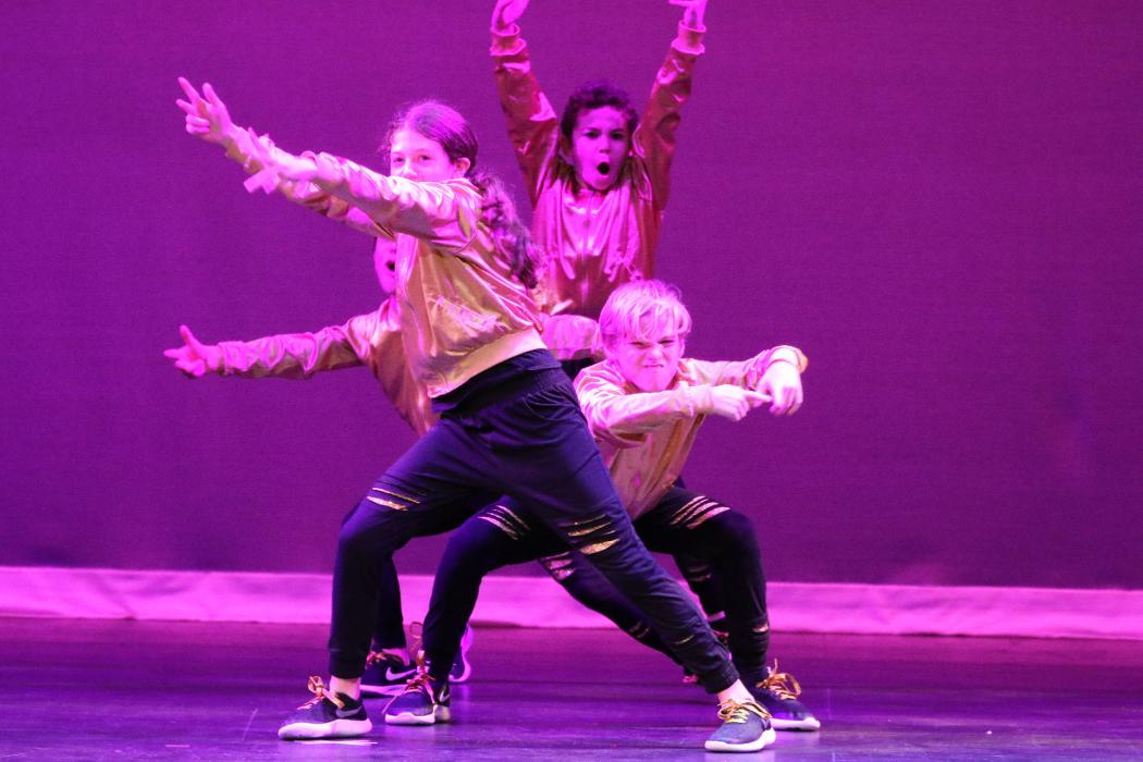 Rootz - Dance, Theater, Enrichment, Fitness, Camps and More! - Deerfield, IL