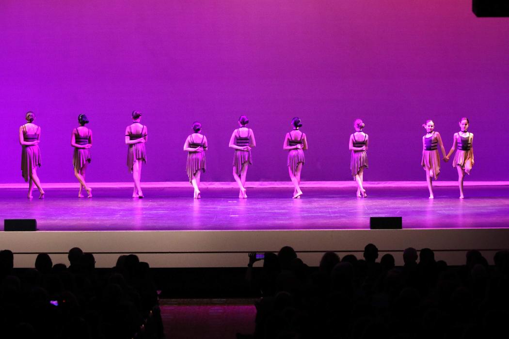 Rootz - Dance, Theater, Enrichment, Fitness, Camps and More! - Deerfield, IL