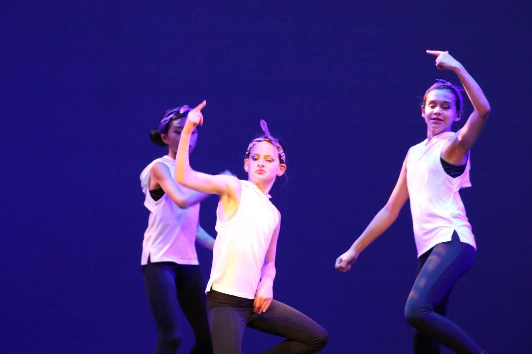 Rootz - Dance, Theater, Enrichment, Fitness, Camps and More! - Deerfield, IL