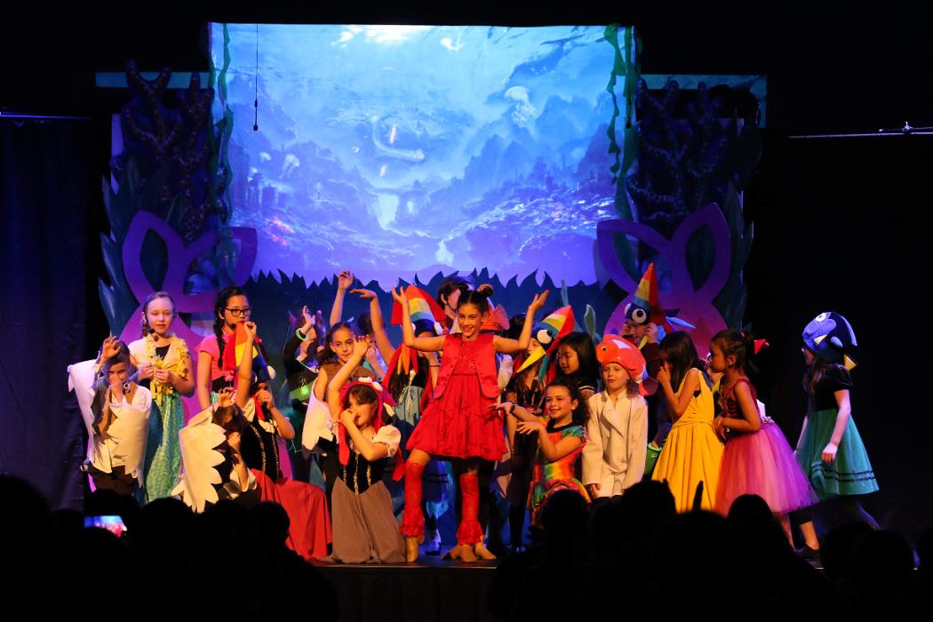 Rootz - Dance, Theater, Enrichment, Fitness, Camps and More! - Deerfield, IL