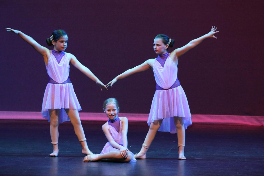 Rootz - Dance, Theater, Enrichment, Fitness, Camps and More! - Deerfield, IL