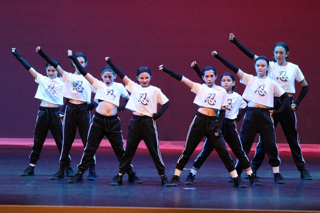 Rootz - Dance, Theater, Enrichment, Fitness, Camps and More! - Deerfield, IL