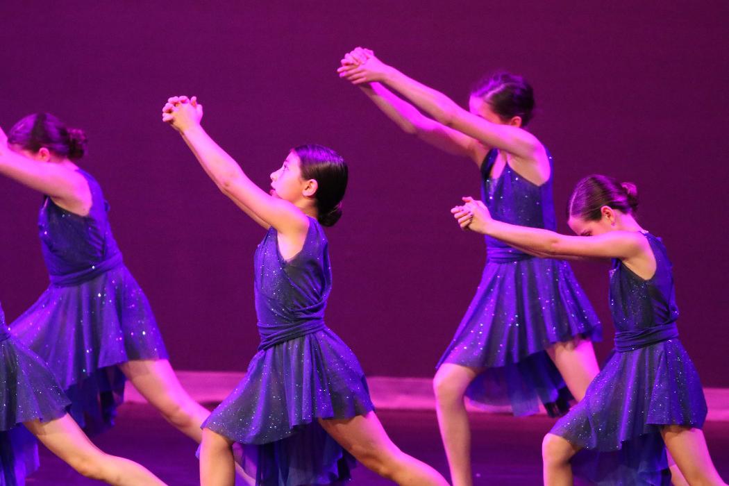 Rootz - Dance, Theater, Enrichment, Fitness, Camps and More! - Deerfield, IL