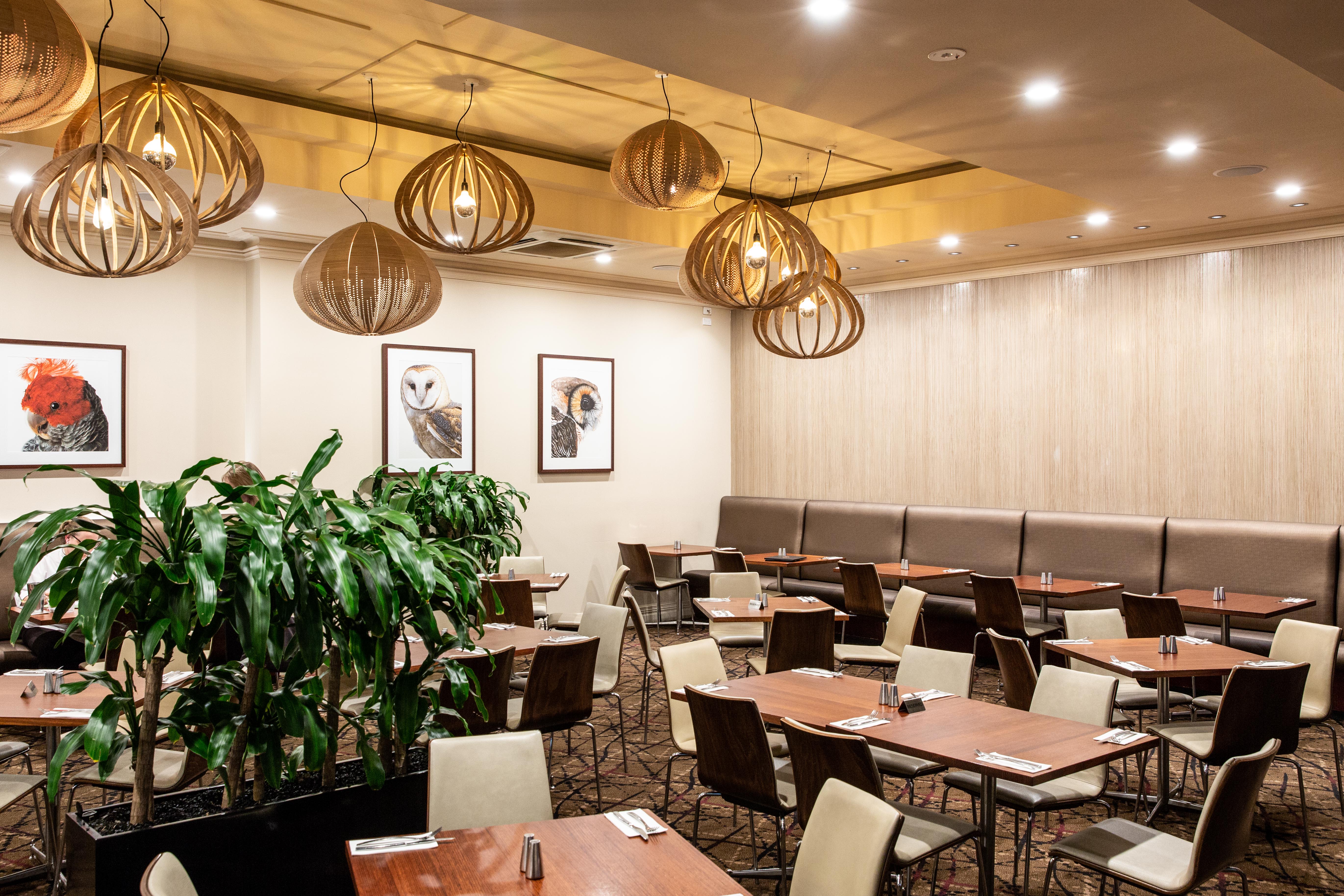 The Olive Tree Hotel