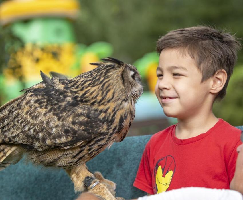 Elbe-Freizeitland, Am Alten Sägewerk in Königstein