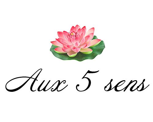 ALONSO CHRISTELLE NEE BOUTTEMANT Salon de massage