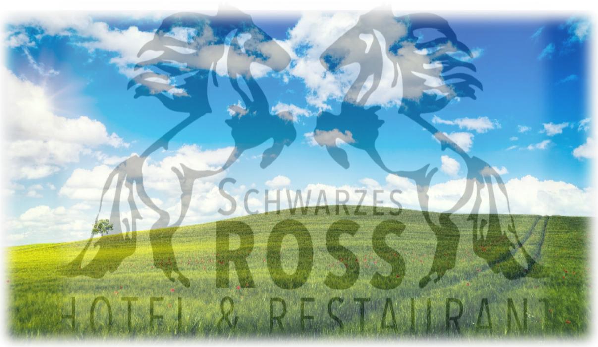 Hotel & Restaurant Schwarzes Ross in Kurort Oberwiesenthal