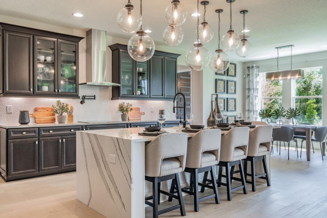 WaterGrass - Masterplanned Community Development - Wesley Chapel, FL