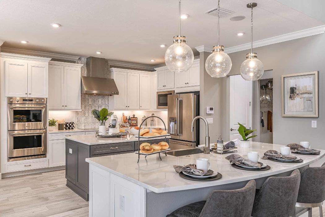 WaterGrass - Masterplanned Community Development - Wesley Chapel, FL