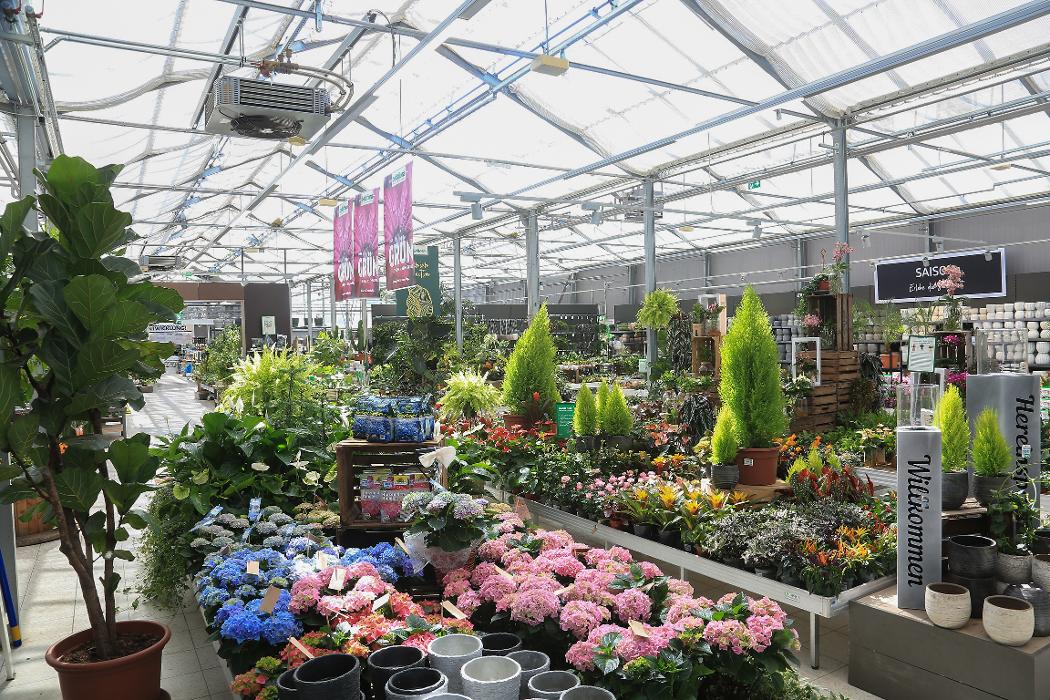 bellaflora Bad Vöslau, Industriestraße in Bad Vöslau