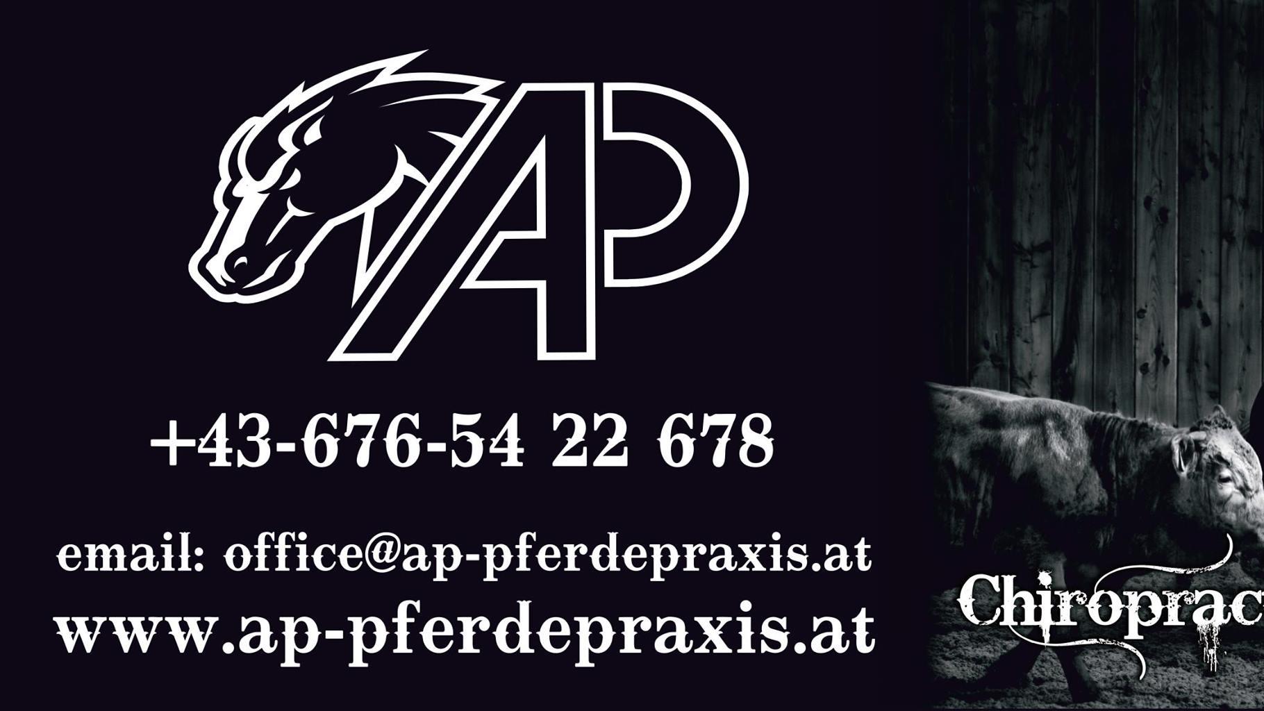 AP - Pferdepraxis, Zaunegghof in Thernberg