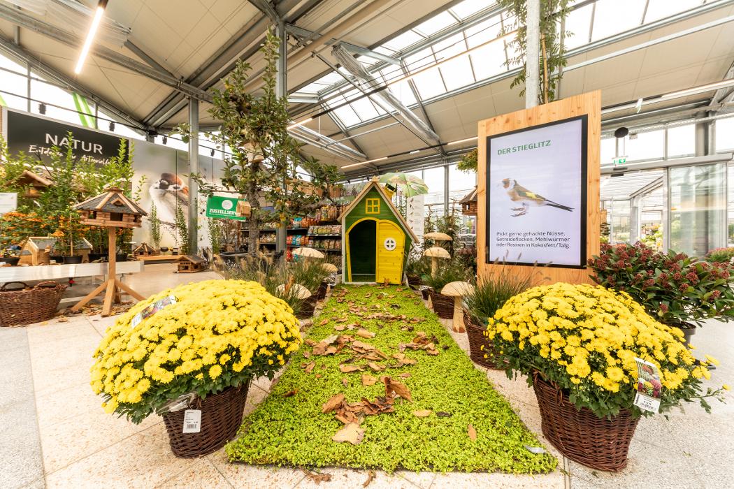 bellaflora Gartencenter Gmbh ZENTRALE in Leonding