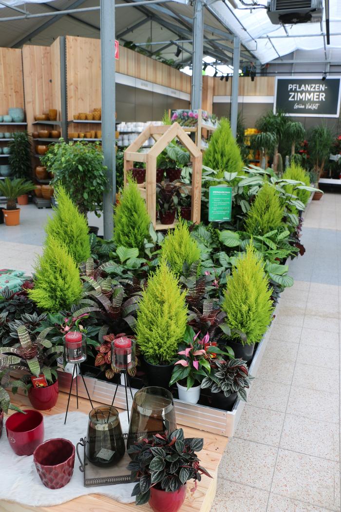 bellaflora Gartencenter Gmbh ZENTRALE in Leonding