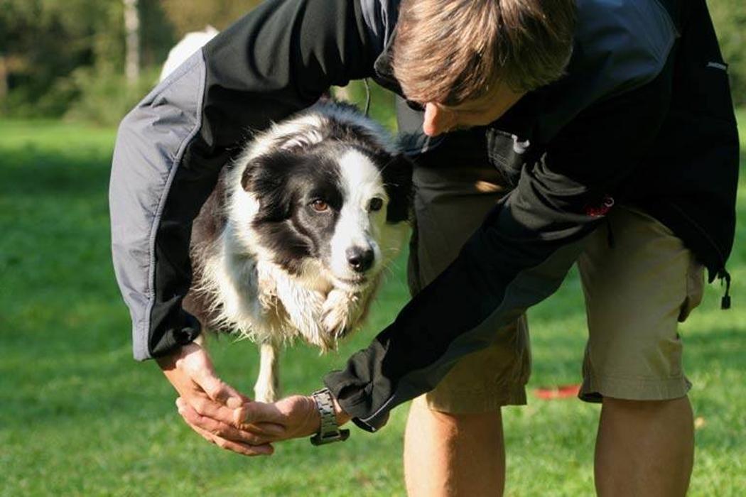 Twin Cities Obedience Training Club - Minneapolis, MN