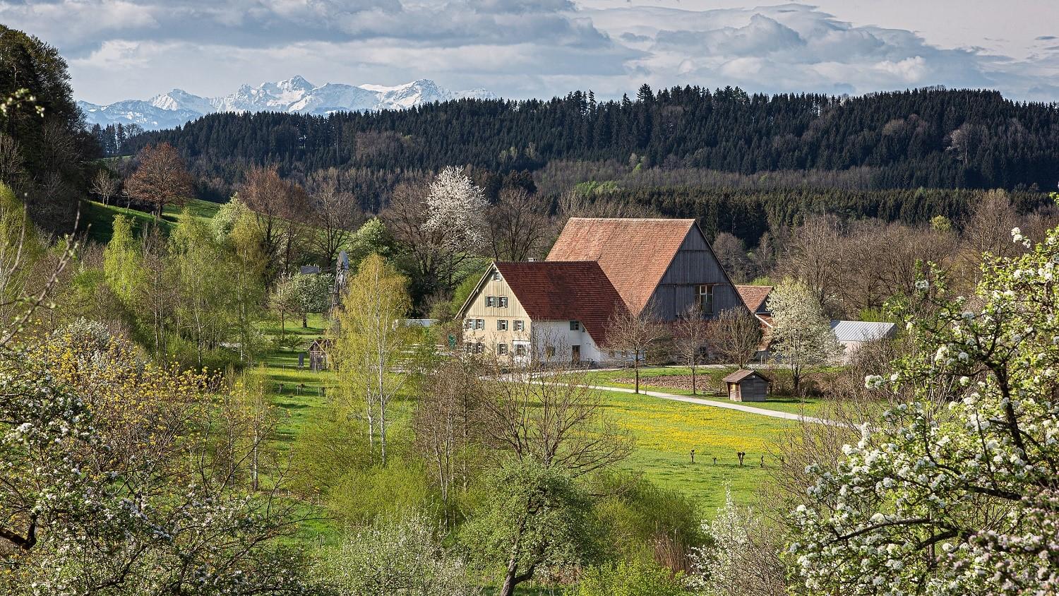 Bauernhaus-Museum Allgäu-Oberschwaben Wolfegg, Vogter Straße in Wolfegg
