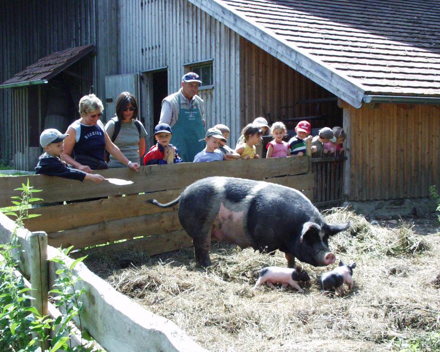 Bauernhaus-Museum Allgäu-Oberschwaben Wolfegg, Vogter Straße in Wolfegg