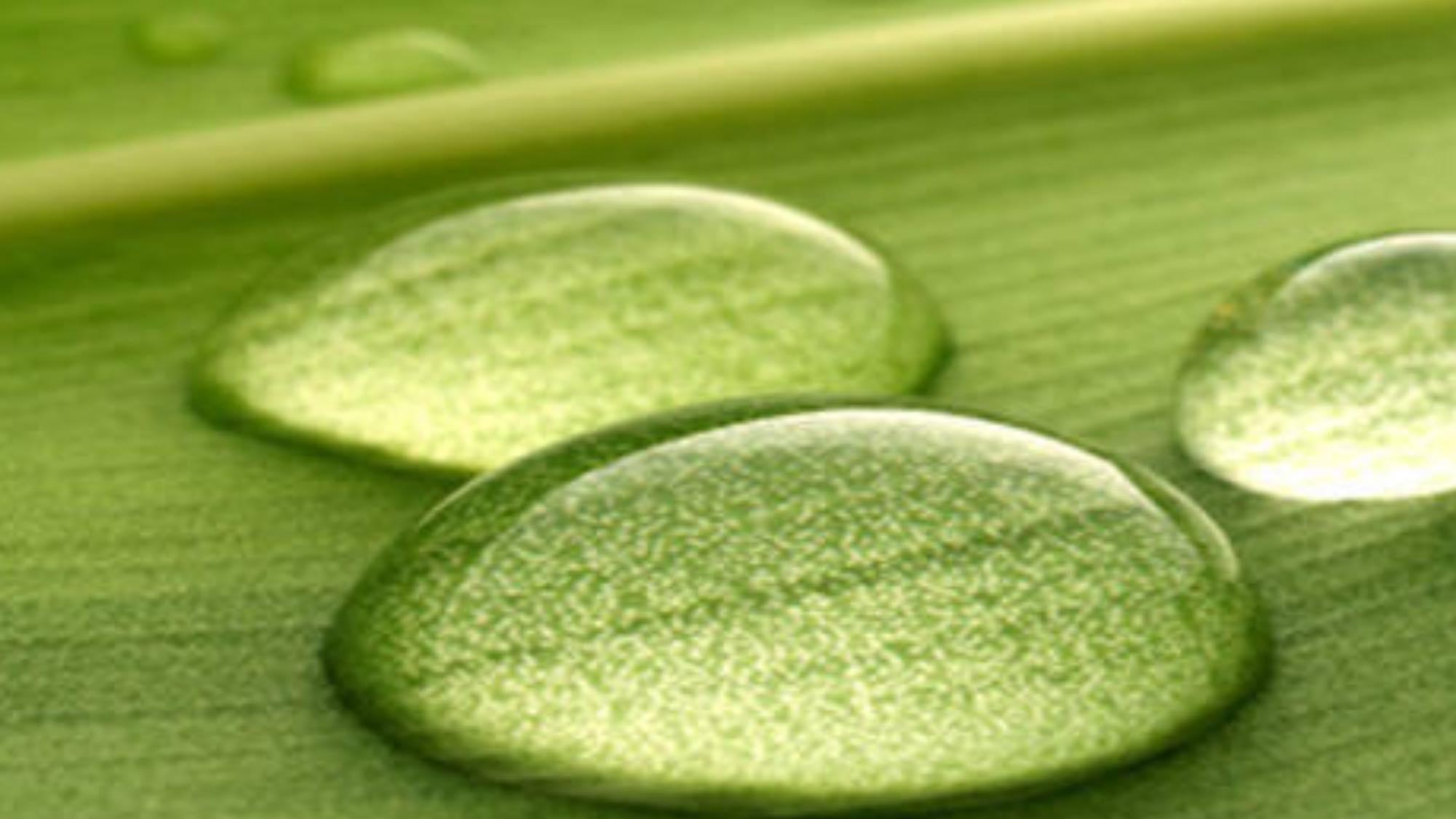 Natur & Reform Albert GesmbH, Neustadt in Feldkirch