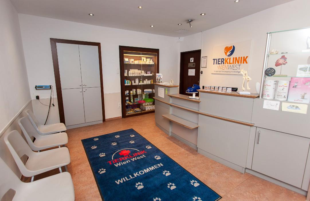 Tierarzt Wien West, Hauptstraße in Wien