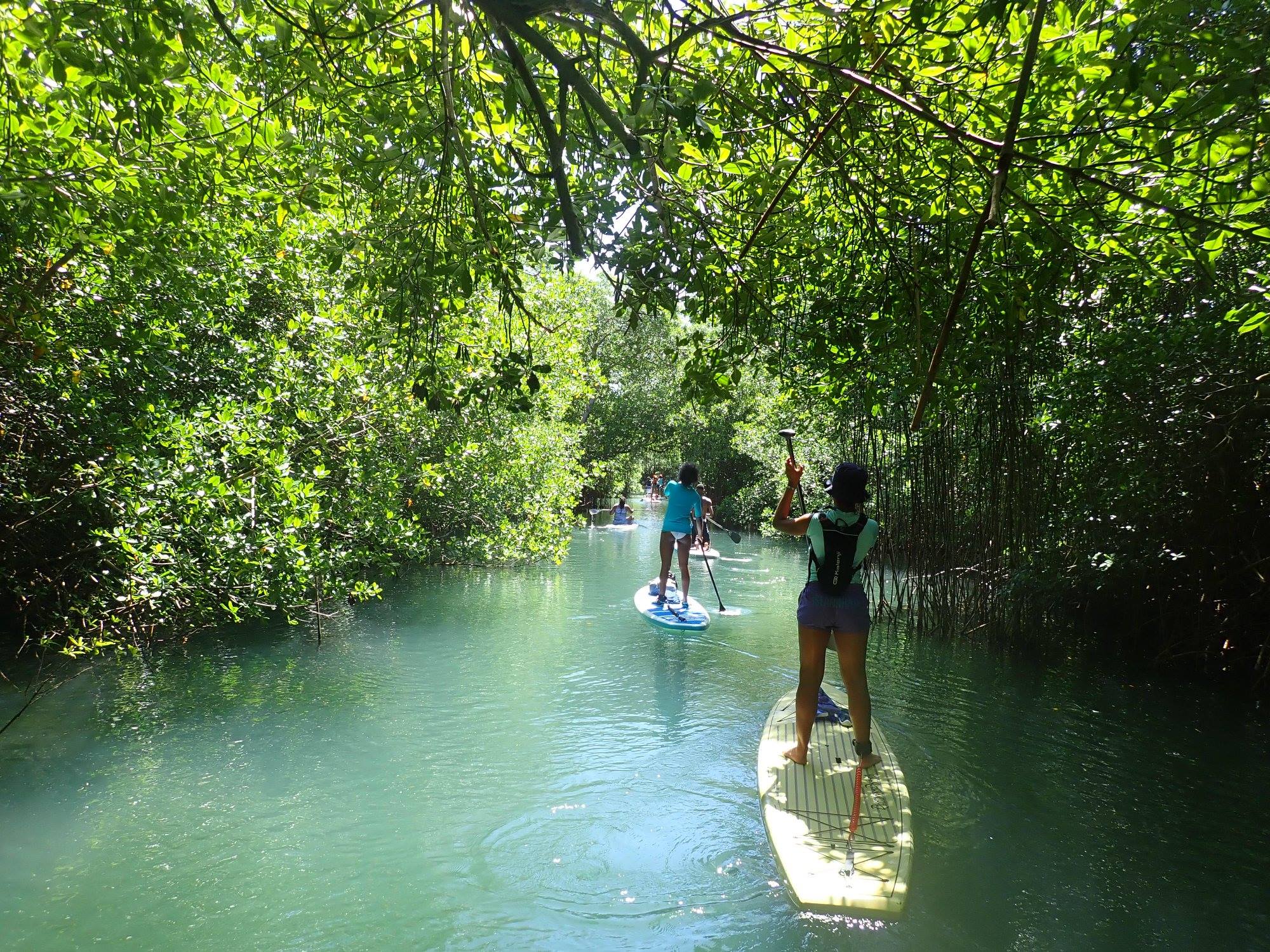 Miniature de la galerie