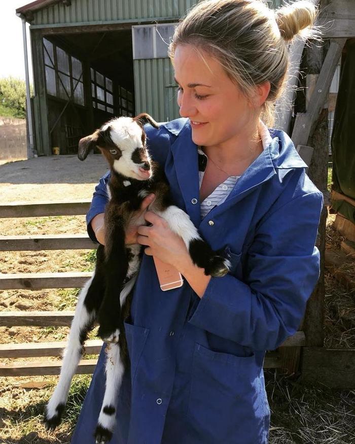 Tierarztpraxis Entenfellner GmbH, Bonnleiten in Bonnleiten