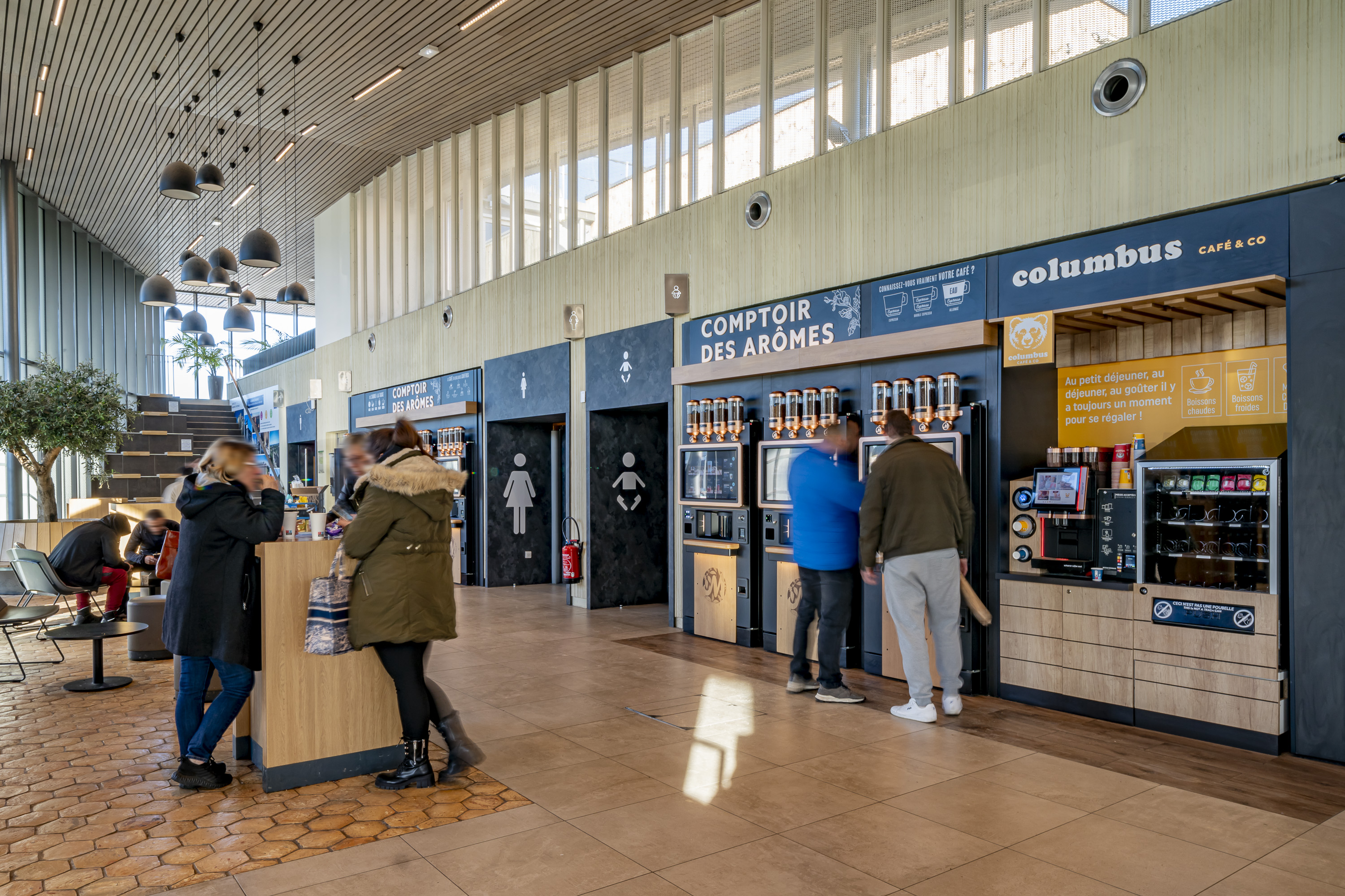 Miniature de la galerie