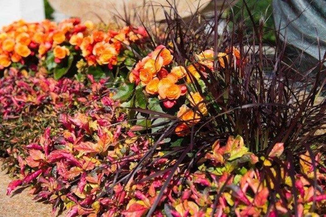 Schallert Blumen, Schillerstraße in Bludenz